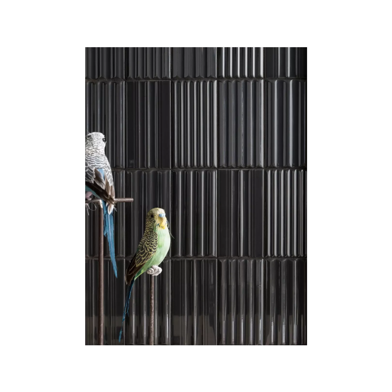 Carrelage mural faience WigWag (4 couleurs)