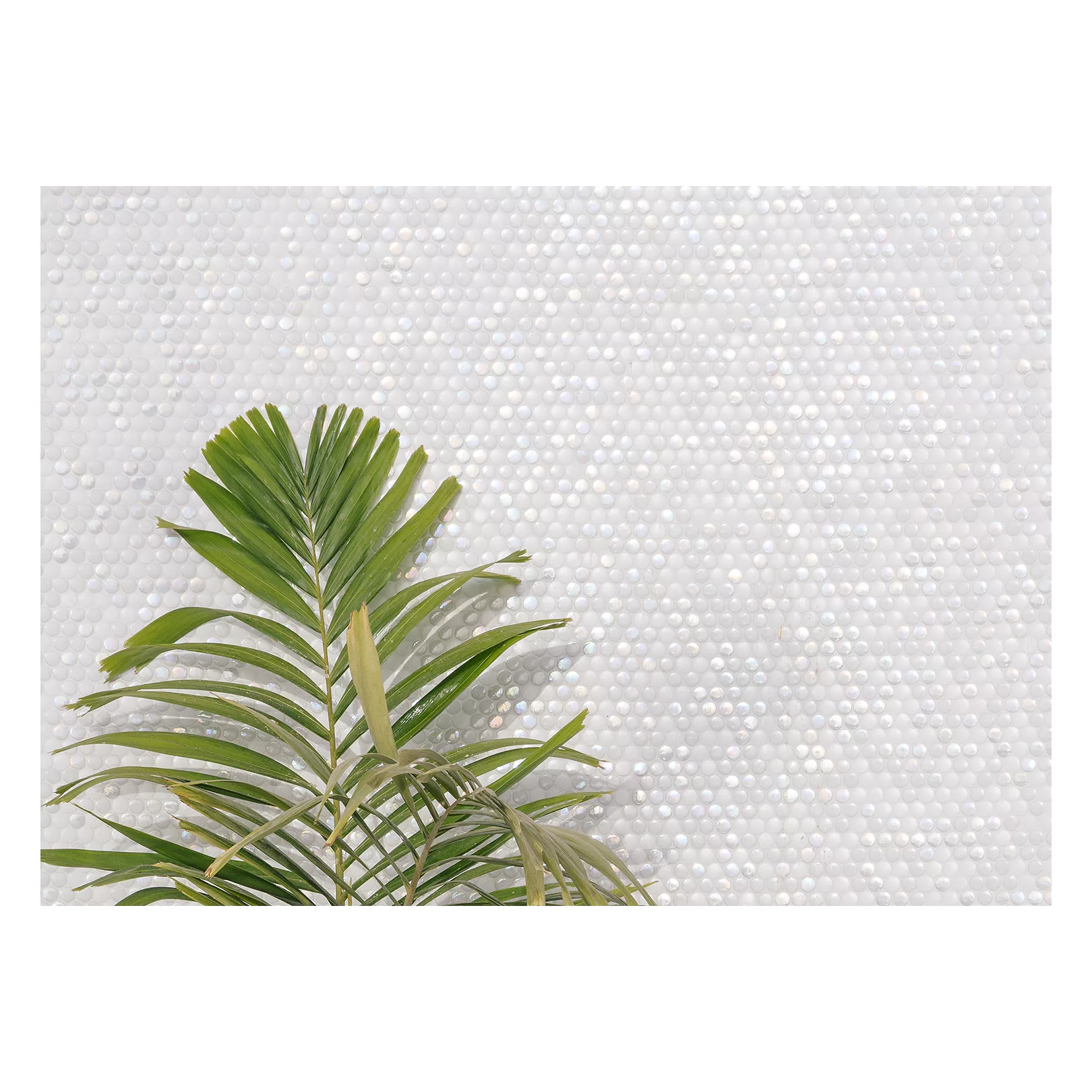 Mosaïque pâte de verre URBAN CHIC Carré 3.8x3.8cm