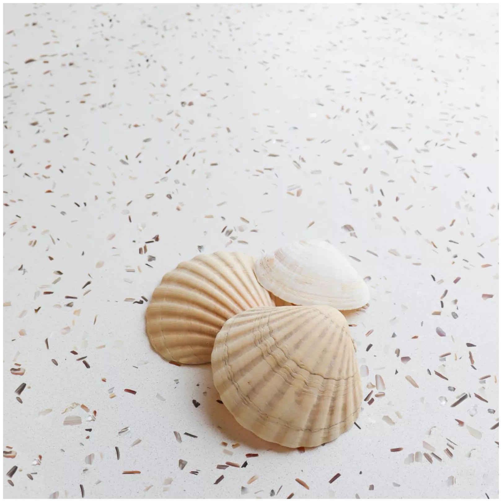Carrelage quartzite QUARTZITA WHITE NACAR