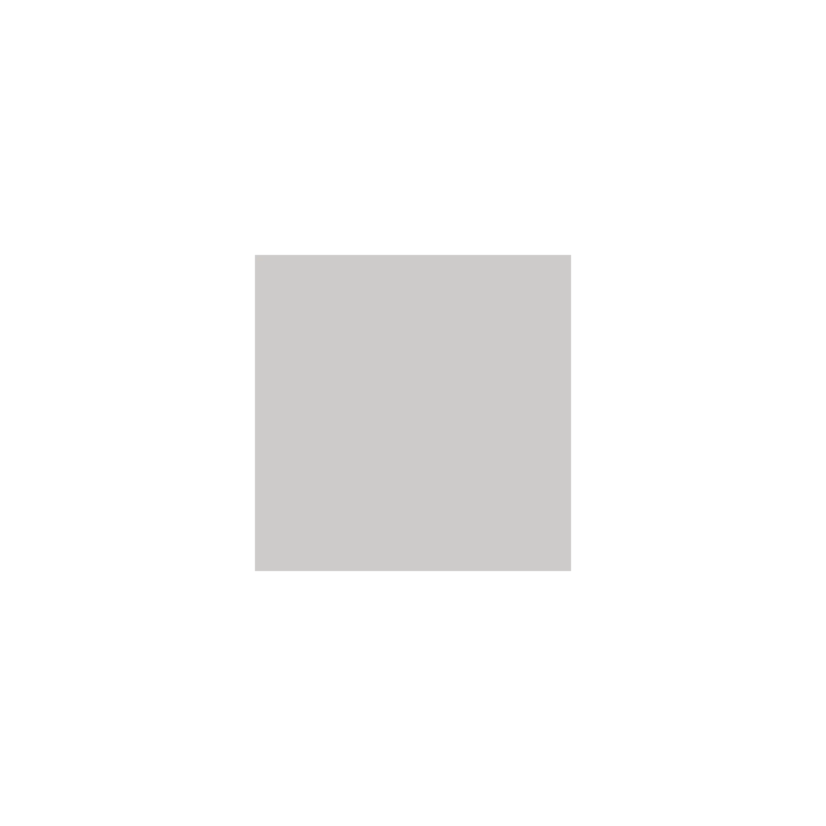 Argent (silver grey 5502)