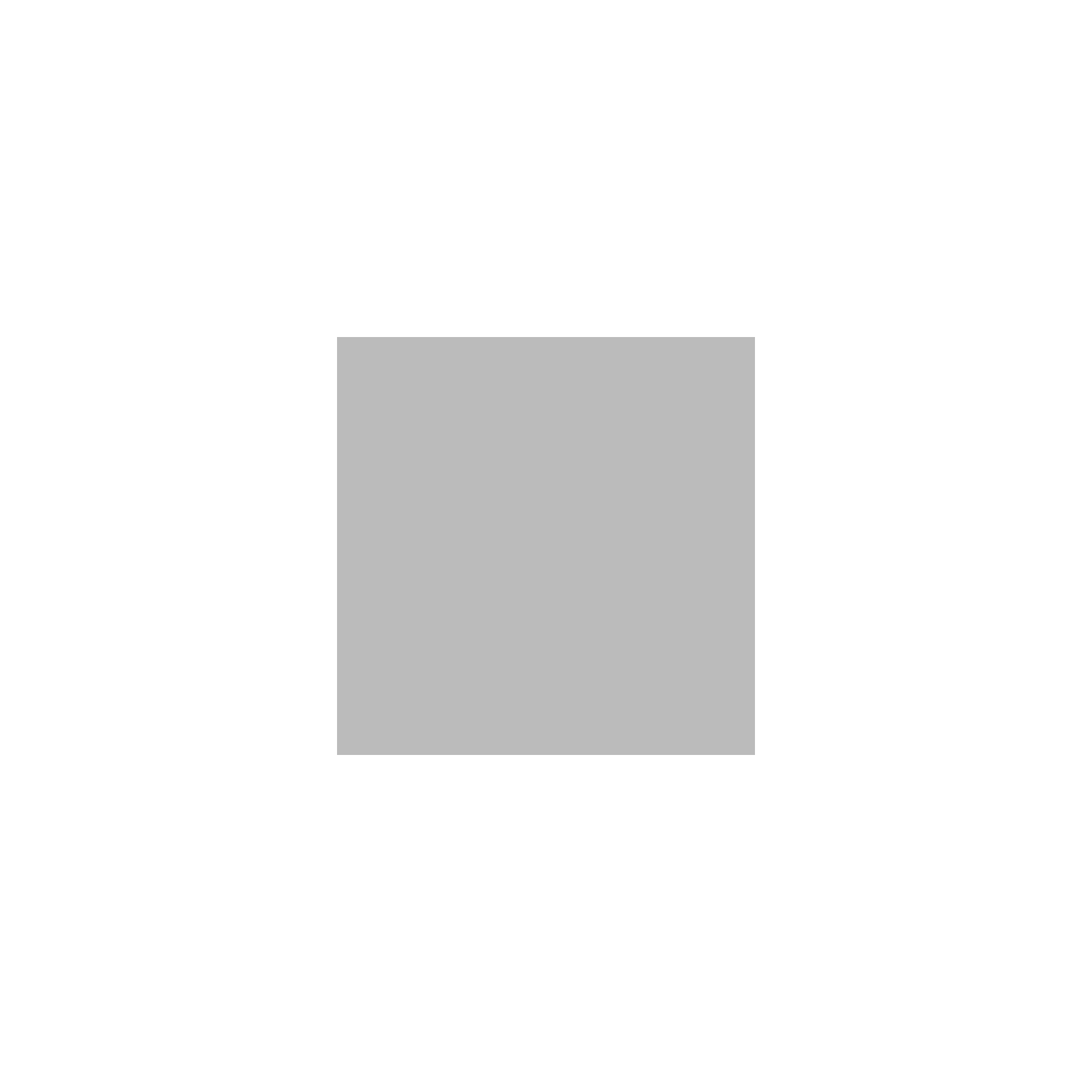 Gris clair (steel grey 5503)