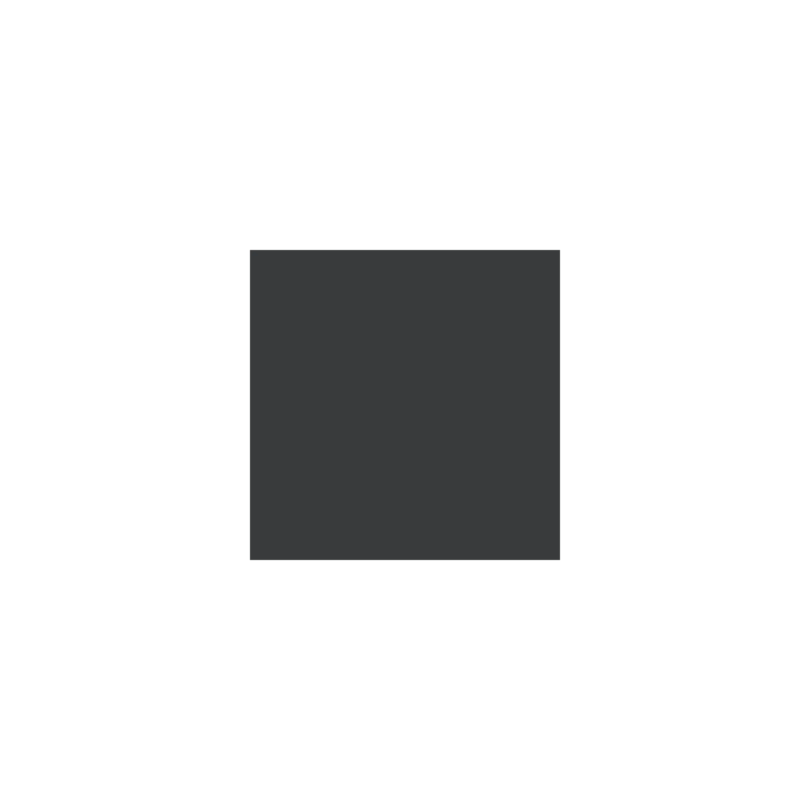 Gris foncé (anthracite grey 5507)