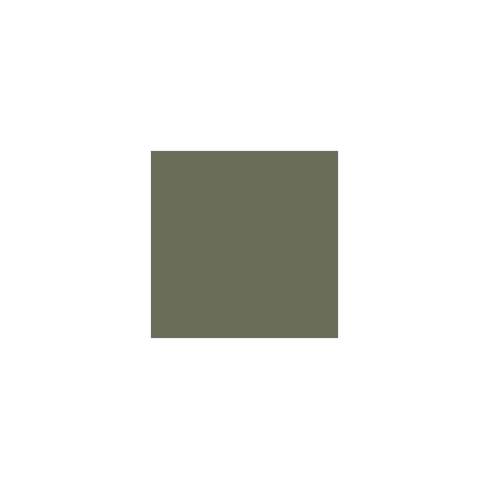 Vert militaire (safari green 5528)