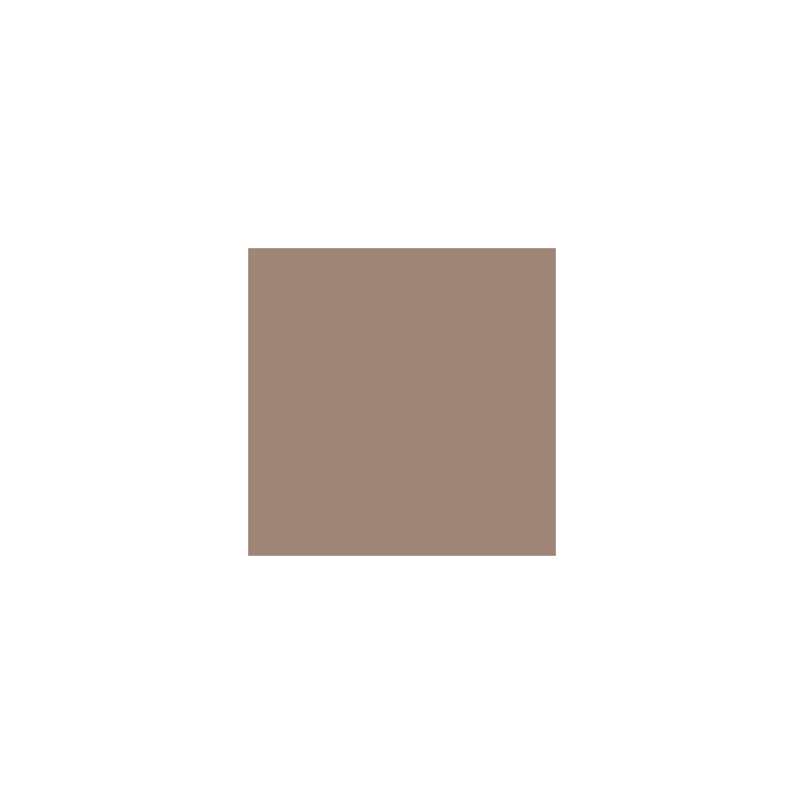 Taupe (taupe 5555)