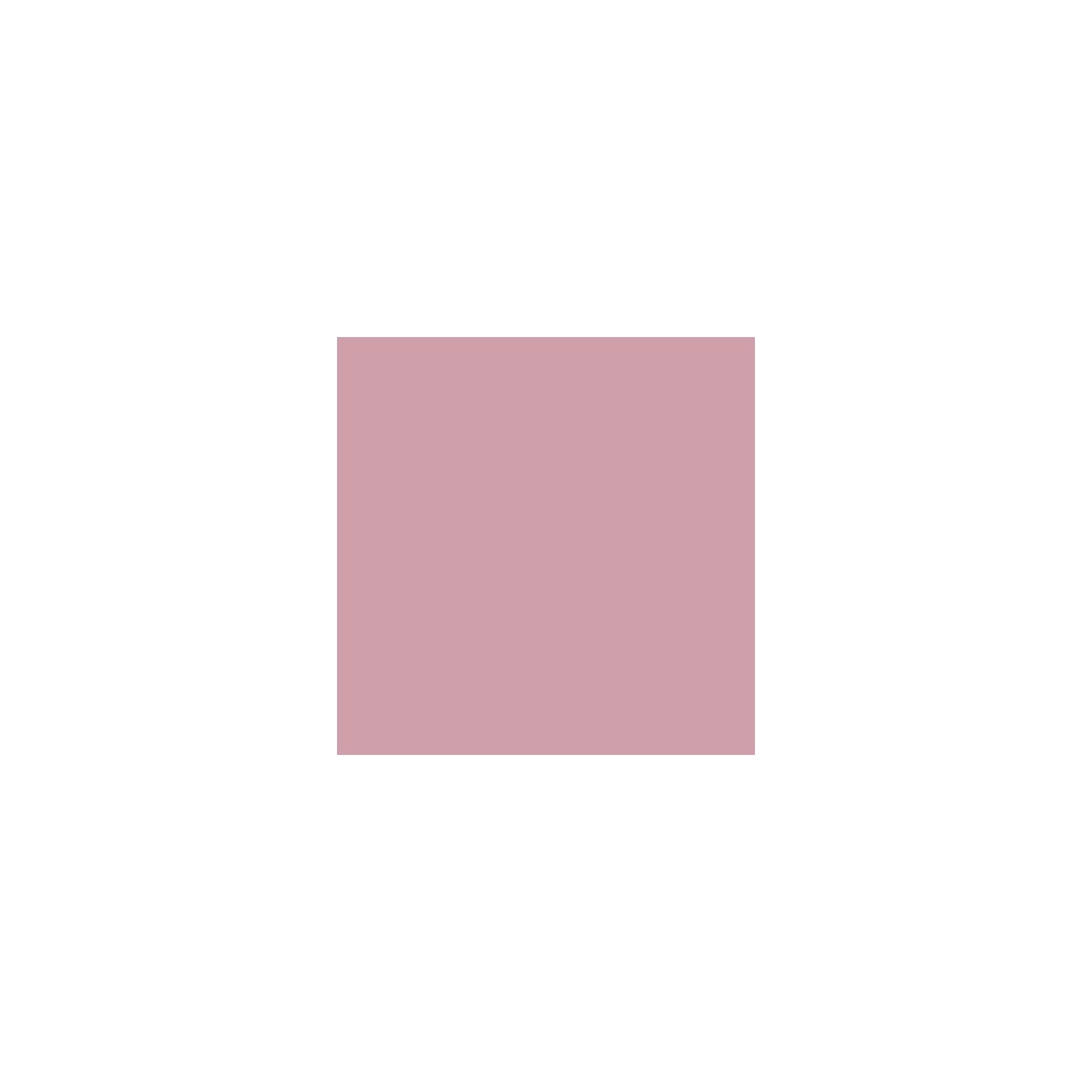 Rose (orchid 5593)