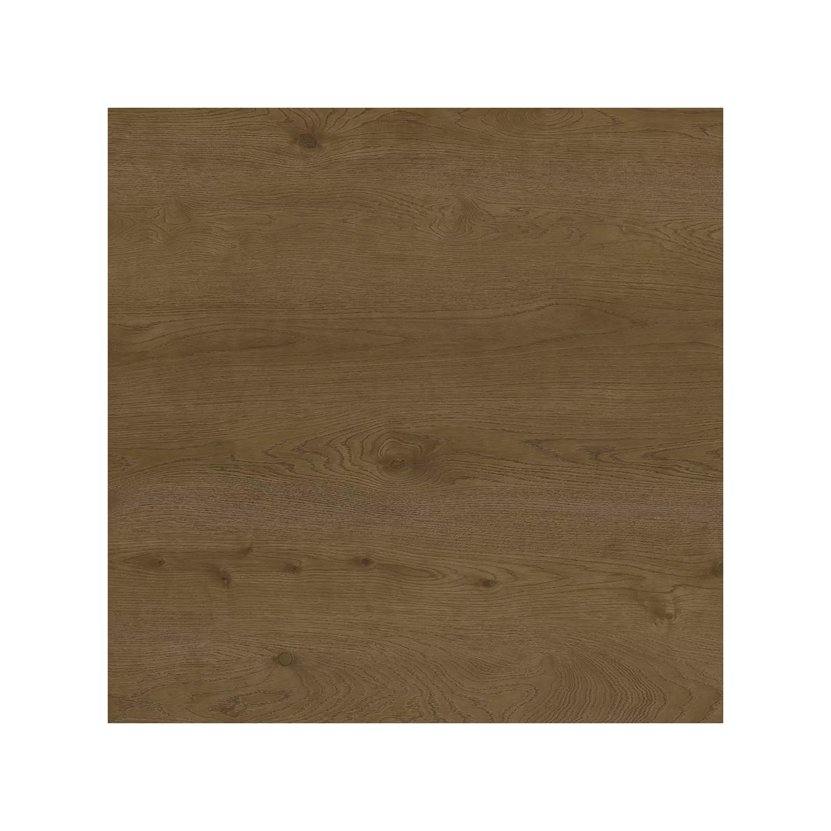 Colori : Cocoa