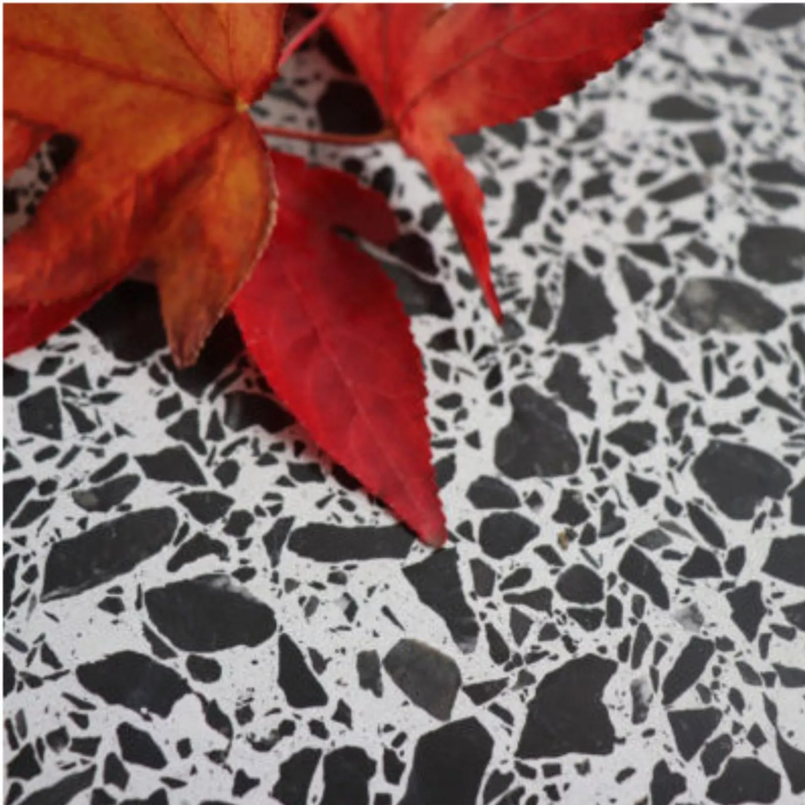 Carreau Terrazzo TELDE