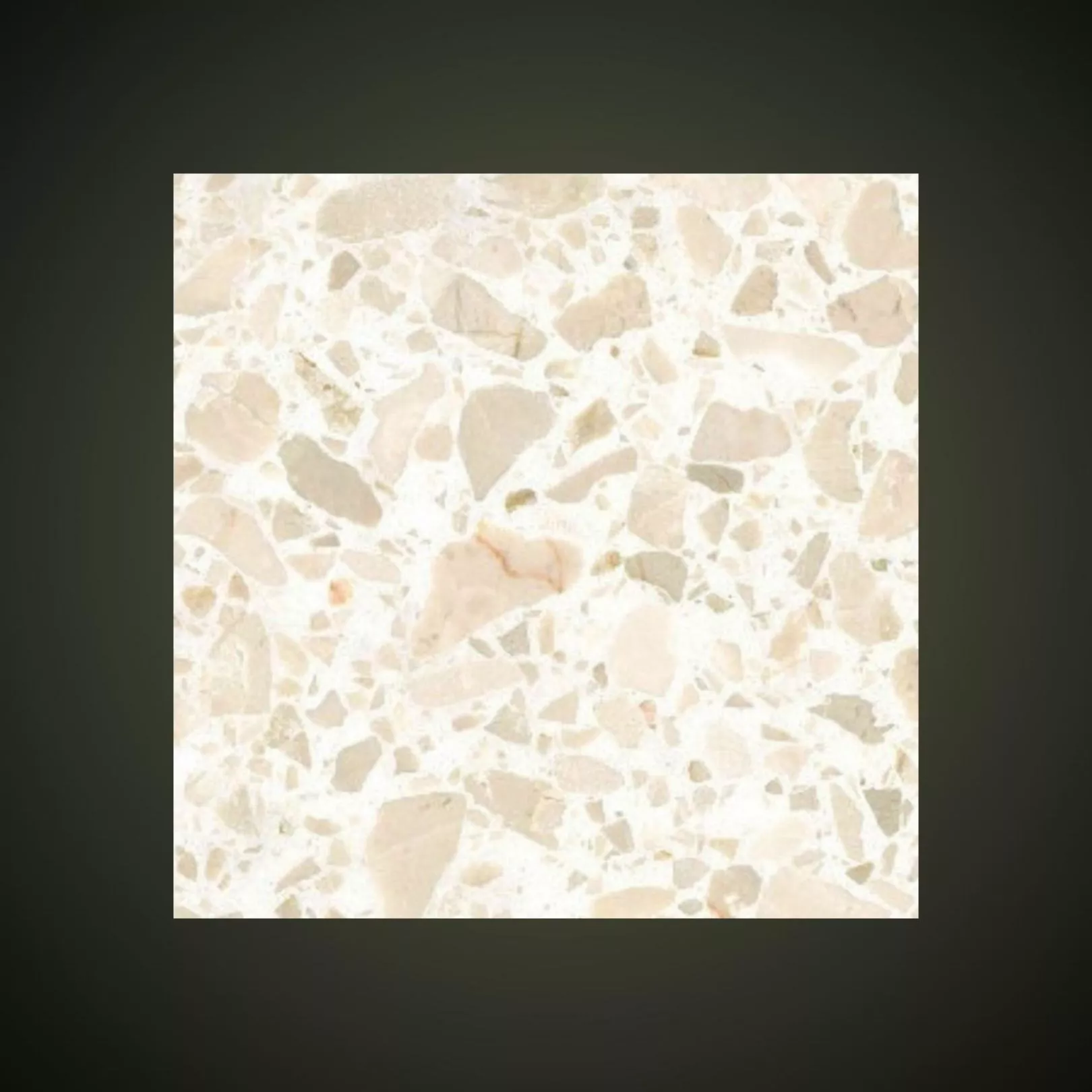 Carreau Terrazzo fond blanc inclusions crème Botticino 0/25 (6 formats)