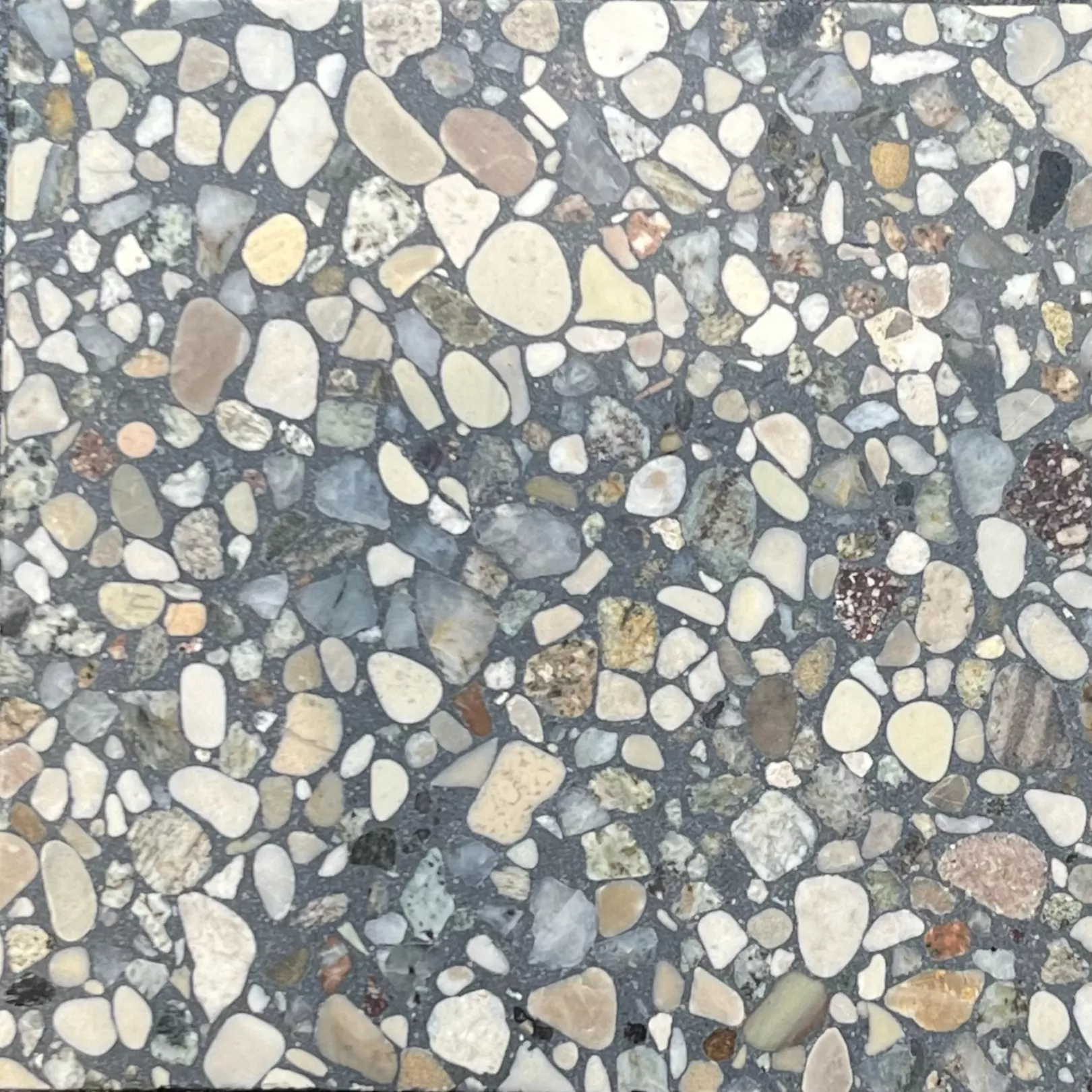 Carreau Terrazzo MANI