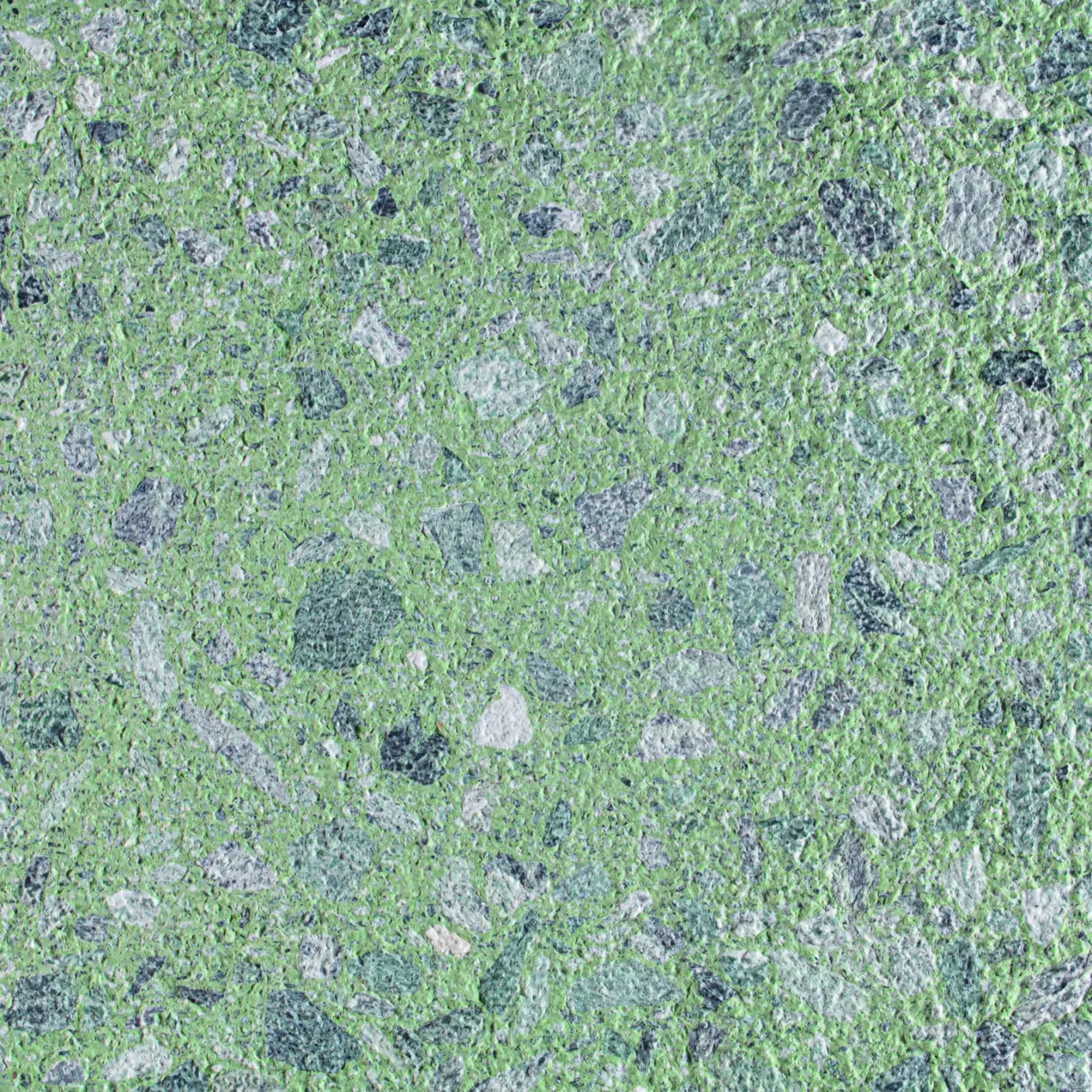 Carreau Terrazzo CROCO VERDE - collection TRADIZIONE