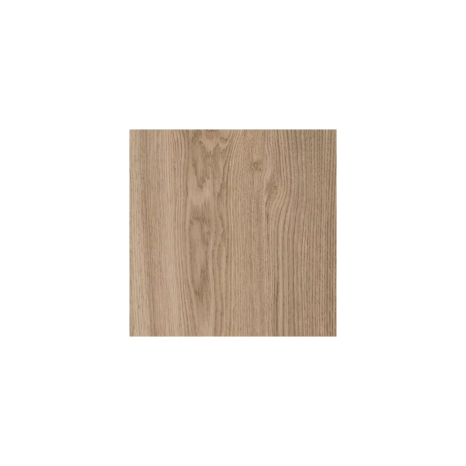 Oak ginger