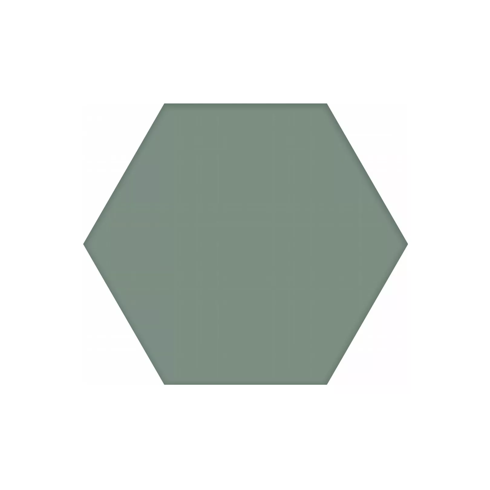 Carrelage grès cérame effet uni HEXAGONE HEX BASIC 25x22cm